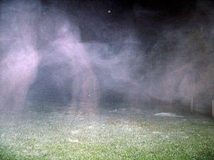 383363_211274448959232_100002300359908_461006_699439150_n