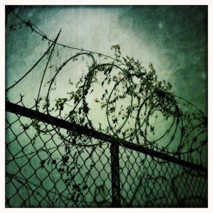 403026_210248729061804_100002300359908_457295_2010259817_n