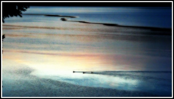 Evening on Puget Sound